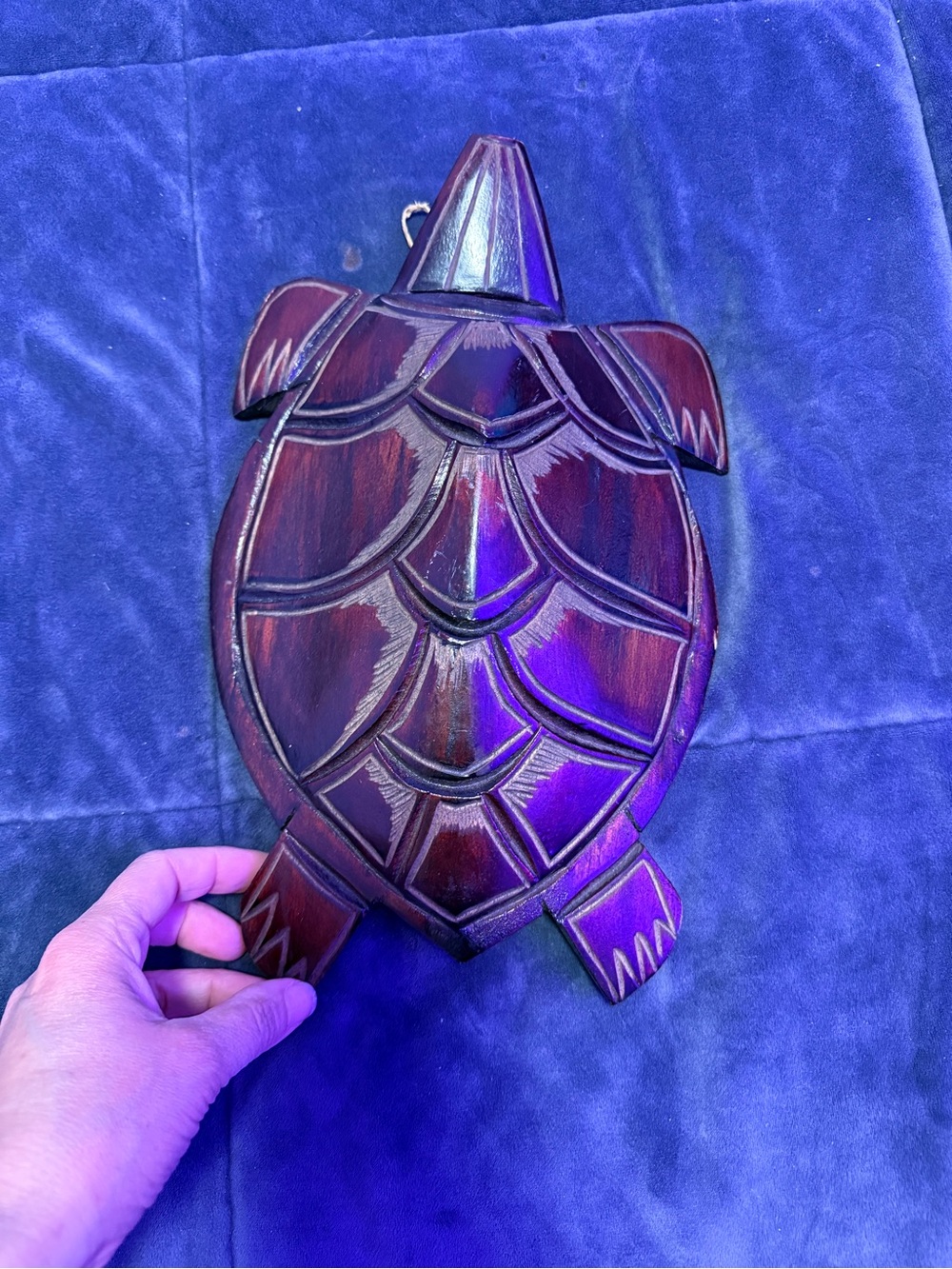 Hand-Carved Wooden Turtle Wall Decor - Deep Brown